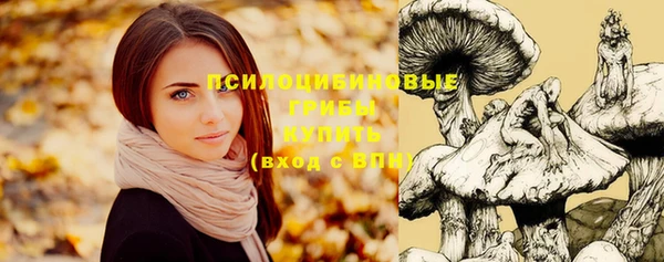 каннабис Абаза