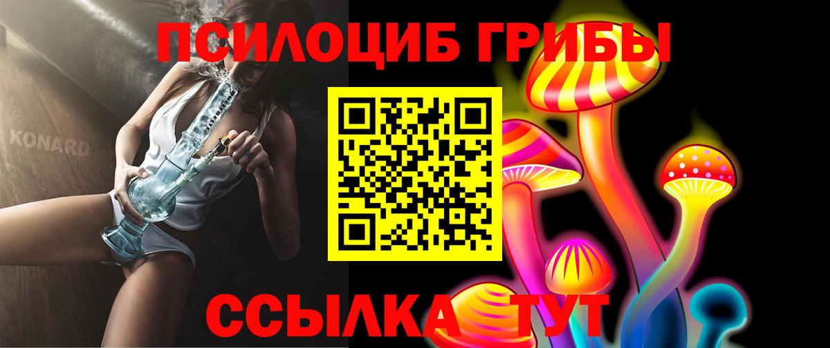 Галлюциногенные грибы Psilocybe Сызрань